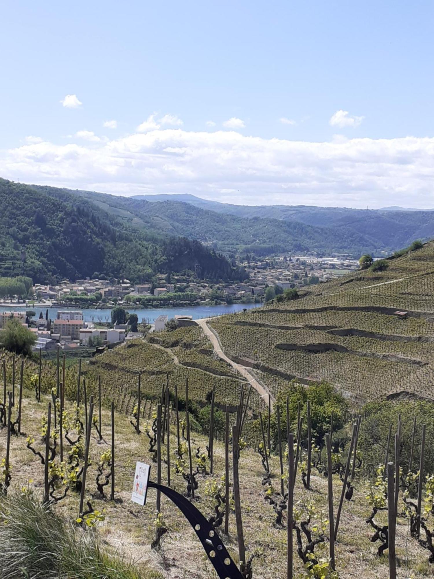 Gite Du Vigneron A La Terrasse Piscine Local Velos Турнон-сюр-Рон Екстериор снимка